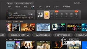 免费多视频网站vip会员账号哪里找