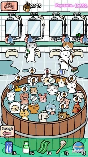 Animal Hot Springs