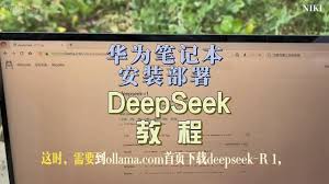 华为deceit如何使用