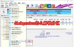 DiskGenius怎么解除分区锁定