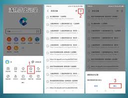 DeepSeek如何删除历史记录