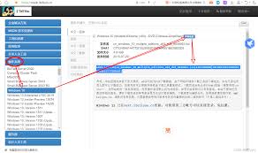 在Itellyou下载的镜像文件如何安装系统