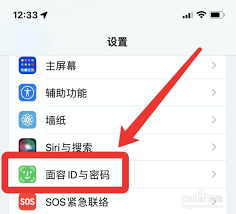 苹果手机如何激活面容支付