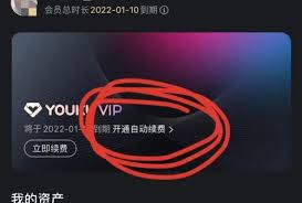 优酷自动续费怎么取消