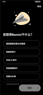 remini如何更改语言设置