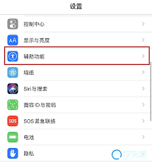 苹果屏幕上的小圆点功能名称是什么