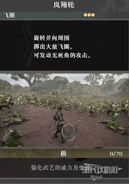 真三国无双起源：覆天岚矛武艺效果如何