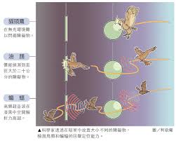 蝙蝠定位怎么关闭？教你轻松关闭定位