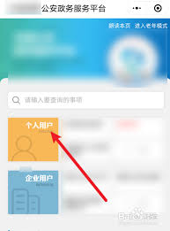 如何查询一个人是否有犯罪记录