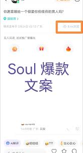 soul有阅后即焚功能吗