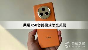 荣耀勿扰模式如何开启