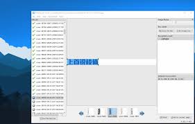 如何启用ppocrlabel中文界面