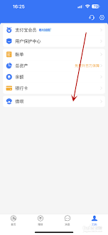 支付宝怎么隐藏借呗