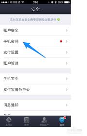 苹果支付宝怎么修改支付密码