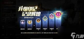 和平精英王牌印记有什么效果
