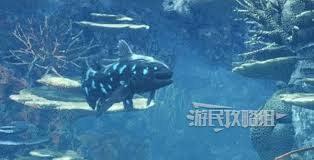 怪物猎人荒野中腔棘鱼怎么钓