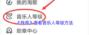 快音如何查看音乐人等级