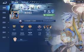 王者荣耀中哪个队友最坑人