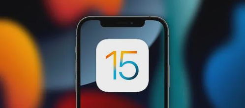 苹果iPhone15进水了如何处理