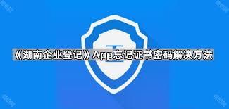 湖南企业登记app如何重置证书密码