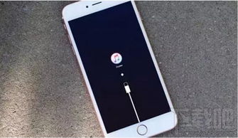 iPhone突然黑屏怎么办