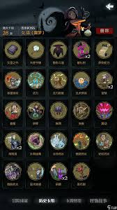 月圆之夜药剂师卡牌如何搭配