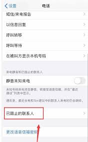 苹果12如何管理黑名单