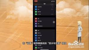 苹果13自动亮度设置位置