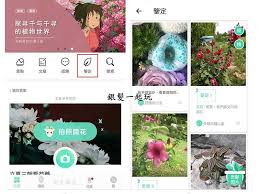 形色app如何查找桑树