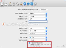 Safari如何设置下载文件类型关联