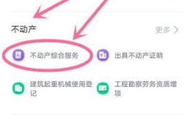 重庆渝快办如何查房产信息