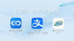 黑龙江全省事如何查养老金发放