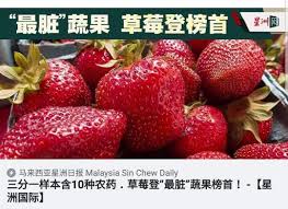草莓能不能用自来水清洗