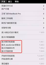 Safari如何开启开发者模式