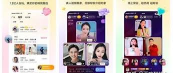 有哪些手机单身交友软件