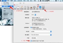 Safari如何开启WebSocket调试