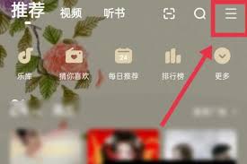 如何设置酷狗皮肤