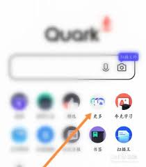夸克扫描王悬浮窗在哪里打开