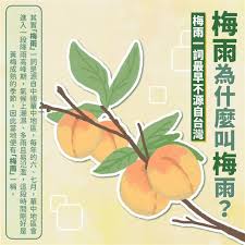 梅雨的梅是什么含义