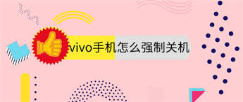 vivo手机屏幕失灵怎么强制关机