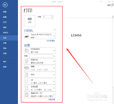 word文档怎样设置单色打印