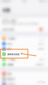 苹果手机如何开启实时网速功能
