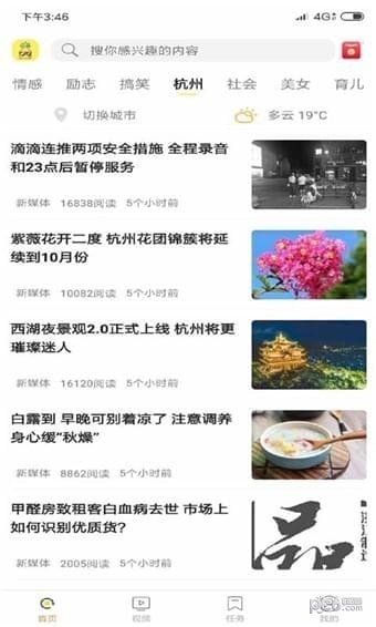 菠萝小组