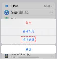 如何从iCloud中清除iPhone的完全指南