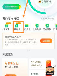 京东白条如何分期还款技巧