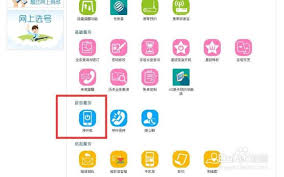 电话卡停机了怎么开通