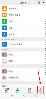 微信怎么查看已发状态