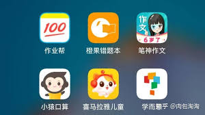 橙果错题本可以批改作业吗