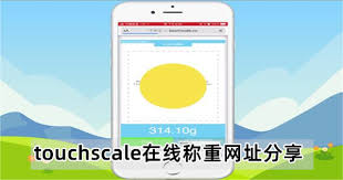 touchscale屏幕电子秤网页版入口在哪