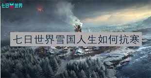 七日世界怎么抗寒